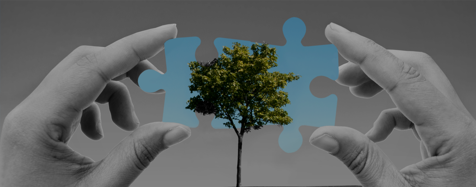 SoftTech Solutions Team